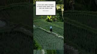 Download Lagu story wa lucu bahasa jawa #shorts #quotes #quotesjawa #storywalucu #storywajawa MP3