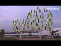 New world wind wind tree