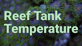 The Ideal Reef Tank Temperature & Why You Should Care screenshot 1