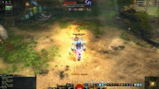 GW2: [UA] Condi (Smoldering) PS Warrior | DPS Benchmark