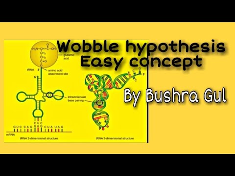 concept of wobble hypothesis