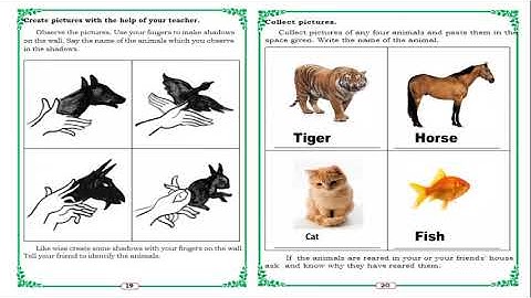STATE - 2nd std EVS Lesson  - 2 Animal Rearing.