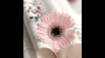 غير المغضوب عليهم ولا الضآلين... _ تلاوة خاشعة ومبكية _ حالات واتس اب دينية ♥️🍁 ستوريات انستا دينية