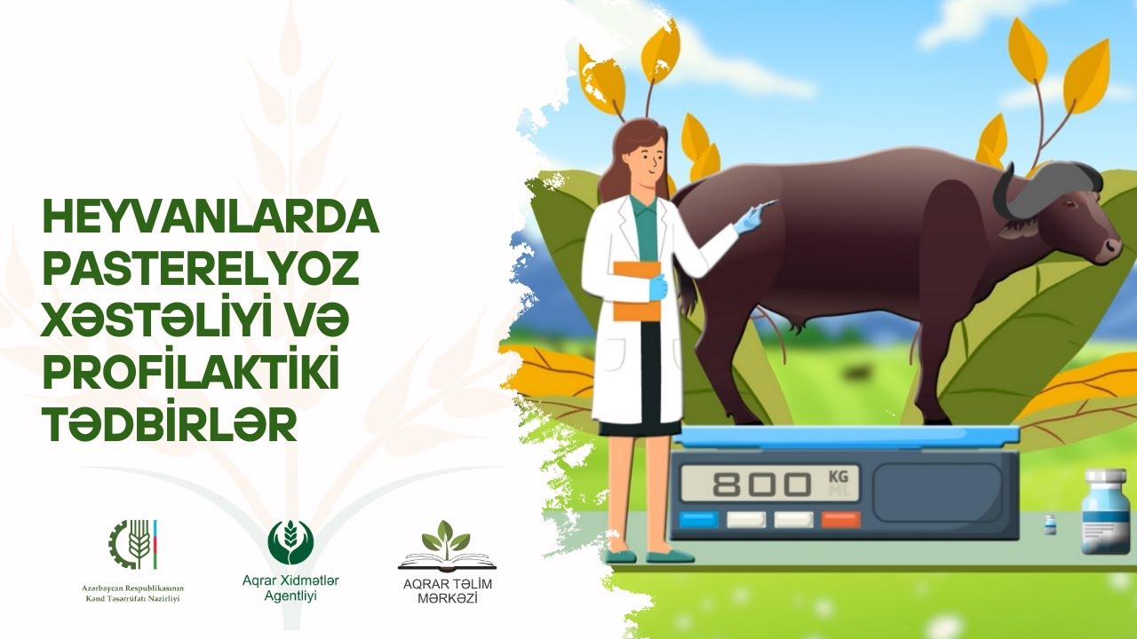 🦠 Heyvanlarda pasterelyoz xəstəliyi və profilaktiki tədbirlər.