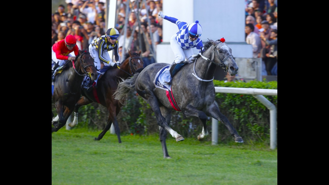 Gran Premio Latinoamericano (G1) 2026 - Teao (Chi-Ya Primo)