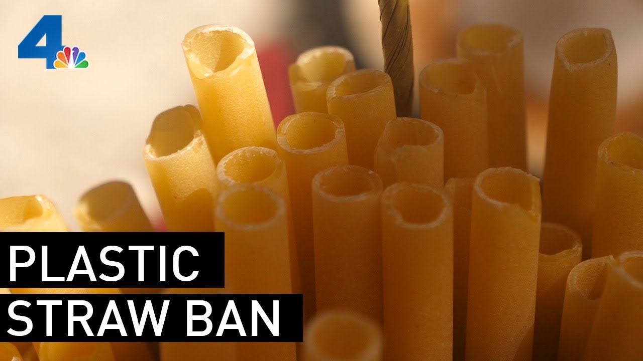 Pasta Straws? How Restaurants Get Around Growing Straw Ban YouTube