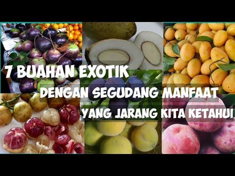 Video: Buah-buahan eksotis - gudang vitamin dan mineral