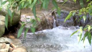 47 悲智印記第242集大藏經