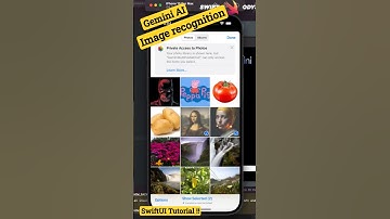 Multi-turn chat with Gemini AI #ios #gemini #swift #swiftui #programming