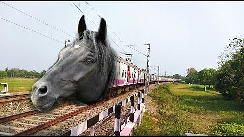 HORSE Headed Purple Colour EMU Local Train Dangerous & Furious Moving Throughout Railgate