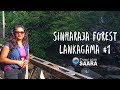 Travel With Saara | Lanka Gama - Sinharaja Forest | Sri Lanka | TRAVEL VLOG