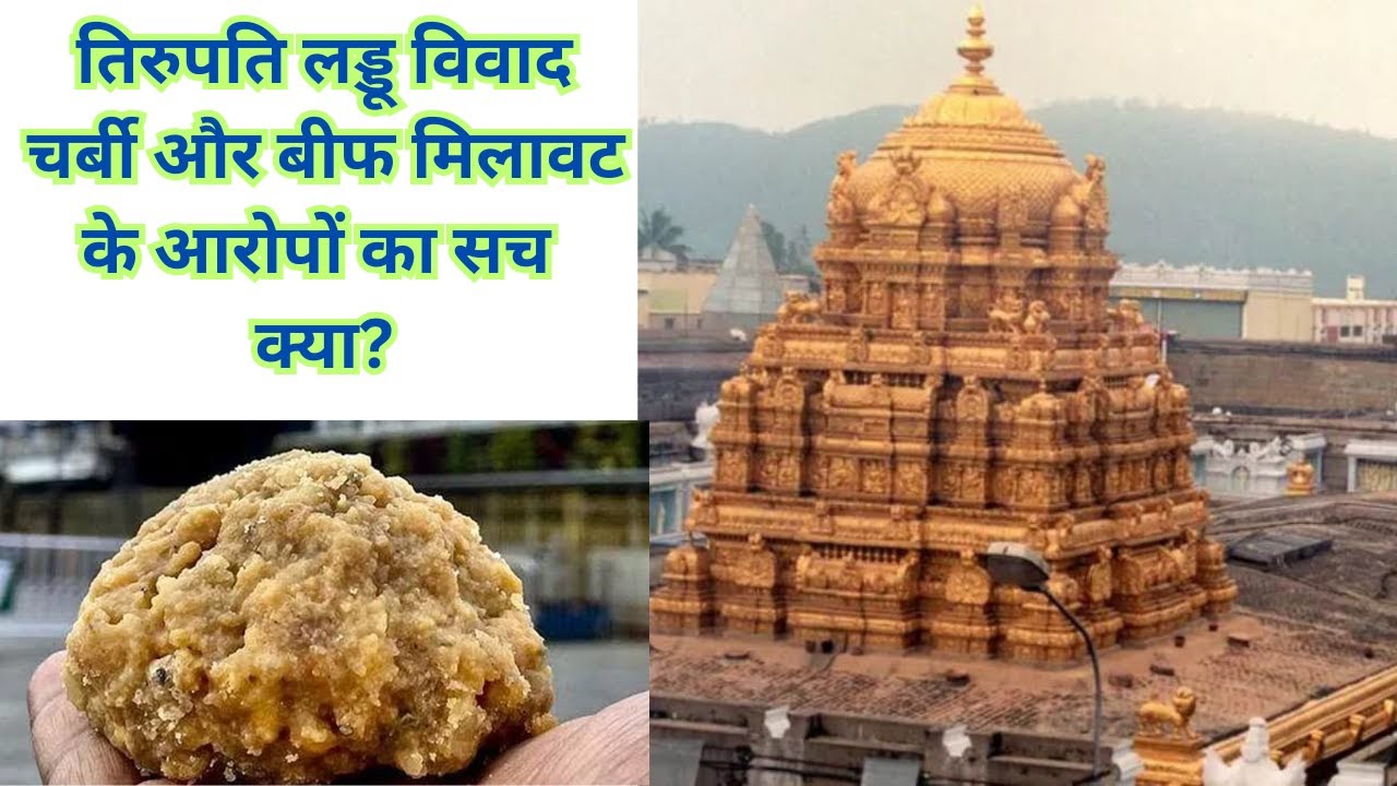 तिरुपति लड्डू विवाद: चर्बी और बीफ मिलावट के आरोपों का सच क्या?  #breakingnews #tirupati #indianews - YouTube