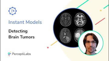 Instant Models: Detecting Brain Tumors
