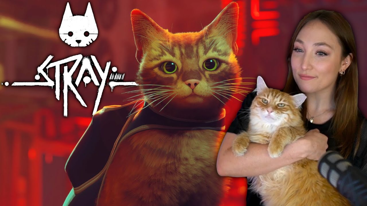maxresdefault.jpg