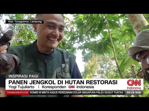 Reaping the Benefits of Synergy with the Restoration Forest | REDAKSI PAGI (09/26/17)