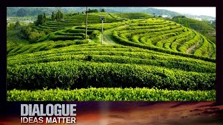 Dialogue— Central Conference on Rural Work 12/21/2016 | CCTV