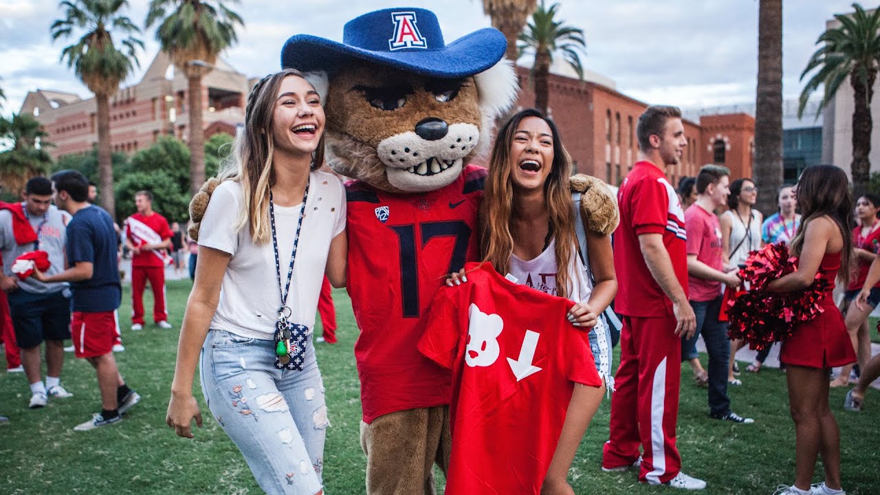 What Does Bear Down Mean to Arizona Online Students? YouTube