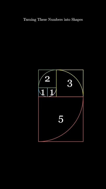 The Fibonacci Spiral – Nature's Favorite Pattern Explained in 80 ...