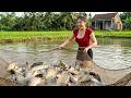 TIMELAPSE: Alone Girl Pulls a Massive Net Full of Fish – Huge Fish Harvest Goes to Villagers