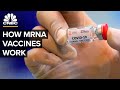 What Is An mRNA Coronavirus Vaccine?