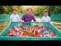 Catching Giant River Fish with Nets with My Little Son – Cooking a Delicious Meal with My Daughter