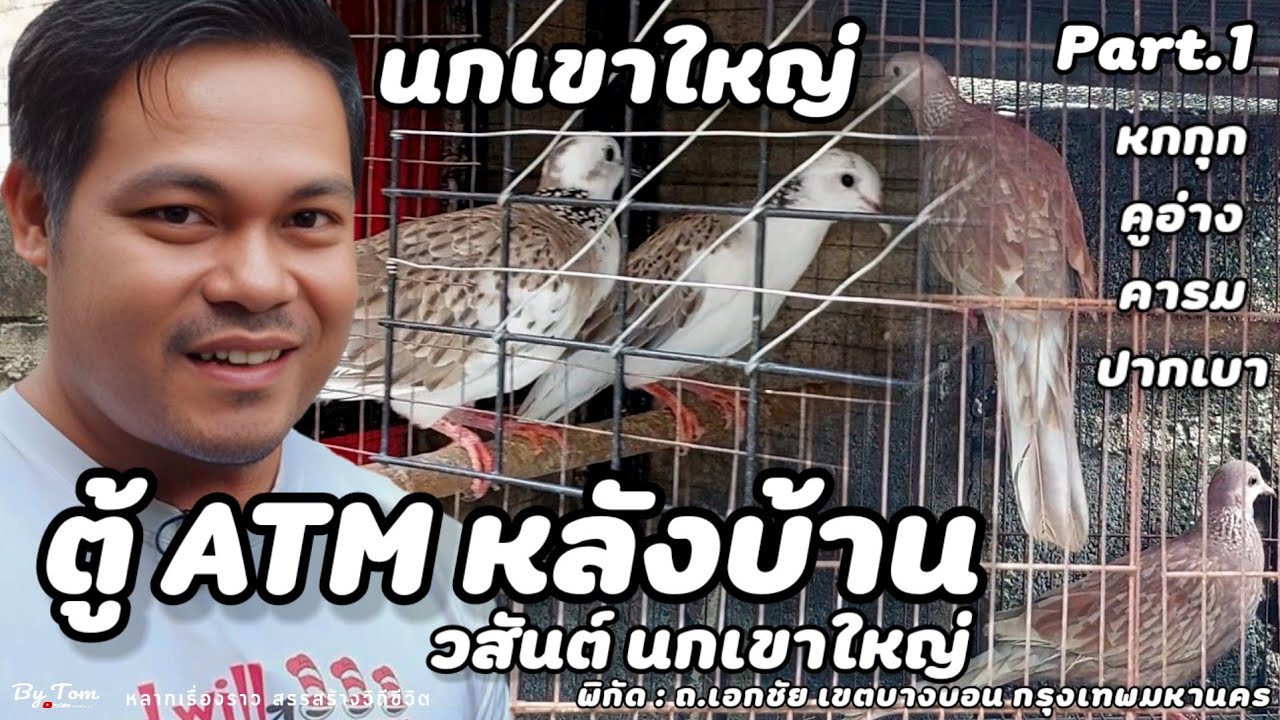 ตู้ ATM หลังบ้าน❗️บุกฟาร์ม | วสันต์ นกเขาใหญ่แฟนตาซี + คูอ่าง + คารม + ปากเบา + ร้องหลายกุก | Part.1