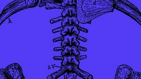 Getting Started with Backbone: Introduction