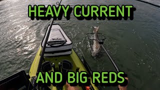 INSANE Current at Lesner Bridge makes all the fish feel HUGE!