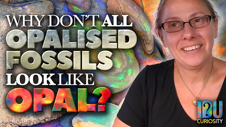 Why don't ALL Opalised Fossils look like Opal? - A...