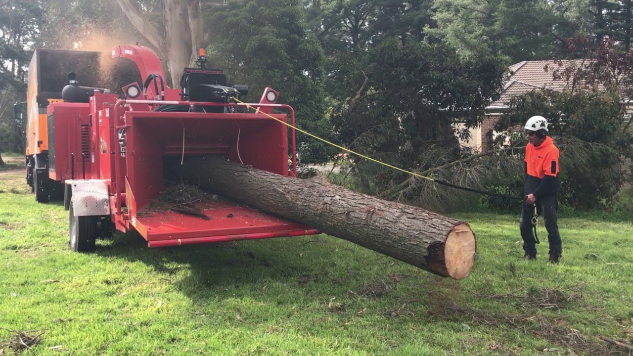 Incredible Powerful Wood Chipper Machines Working, Fastest Tree ...