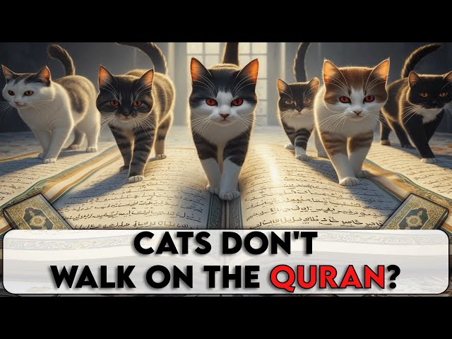 Cats Don't Walk on The Quran?? -- Christian Prince Explains class=