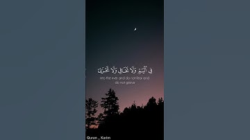 سورة القصص /#قرآن كريم /#ارح سمعك🎧😴🤎