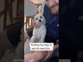 Two-Way Love#DoqLove #HumanBestFriend#DogSoftTikTok #DogsOfTikTok#UnconditionalLove