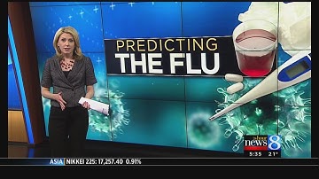 Disease experts create model to predict flu