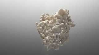 Design Indaba 2012 ad.mov Guide