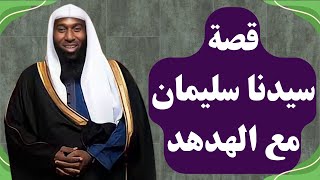 قصة سيدنا سليمان عليه السلام مع الهدهد - من أعجب القصص - الشيخ بدر المشاري