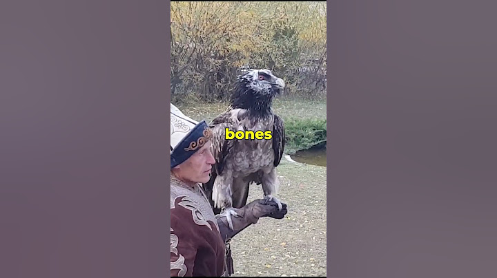 Vulture Swallows Bone Whole! 🦴😱