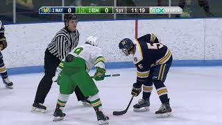 Boys High School Hockey Section Semifinal: Wayzata vs. Edina