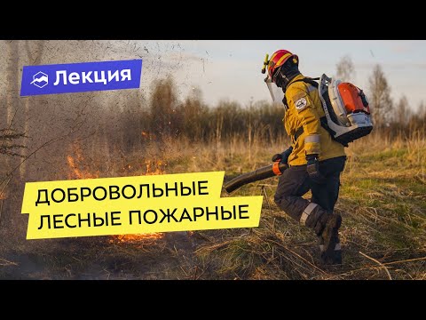 Добровольные лесные пожарные: не только пожары