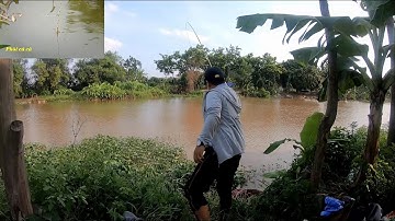 Cận cảnh câu cá chép, cá diếc lưỡi đơn phao bềnh dựng ngược