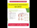 Anatomical movement | #rdmedicalscience #biology