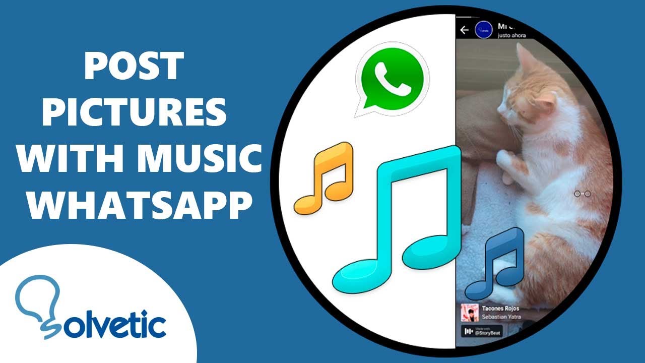 🎵 How to Post Pictures with Music on WhatsApp YouTube