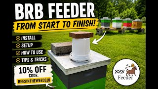 BRB Feeder: Complete Installation & Setup Guide | From Start to Finish