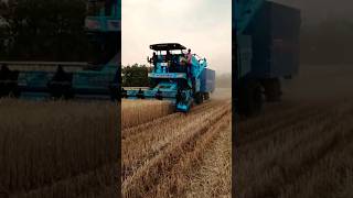 Punni Grain Cruiser Combine Harvester With Straw Making facility 2023  || Bhusa Combine Harvester