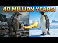 🐧❄️ Evolution & Divergence of Aptenodytes King & Emperor Penguins Animal Amazing World