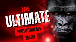 Welcome To Our Affiliate Program