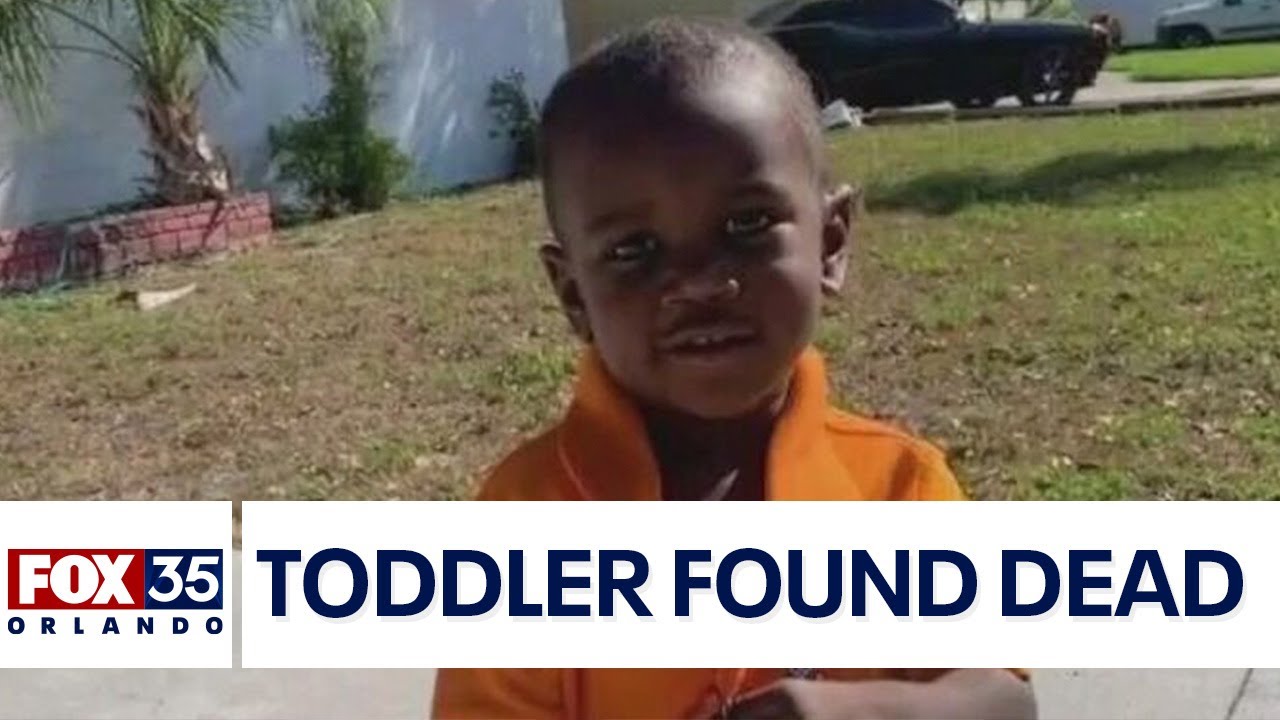 Body of missing Florida toddler found in jaws of alligator