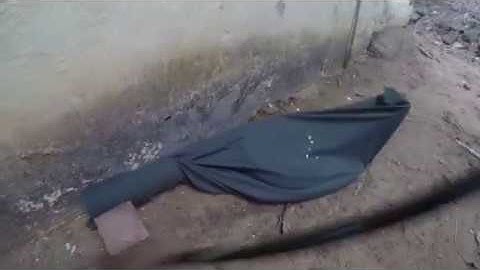 KCT: A successful King Cobra rescue