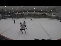 Gshl div 7  flying monkeys vs dumb pucks tupas gopro 12019