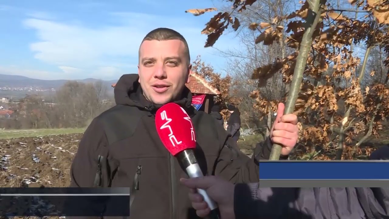 Badanji dan - seča badnjaka u Šilovu